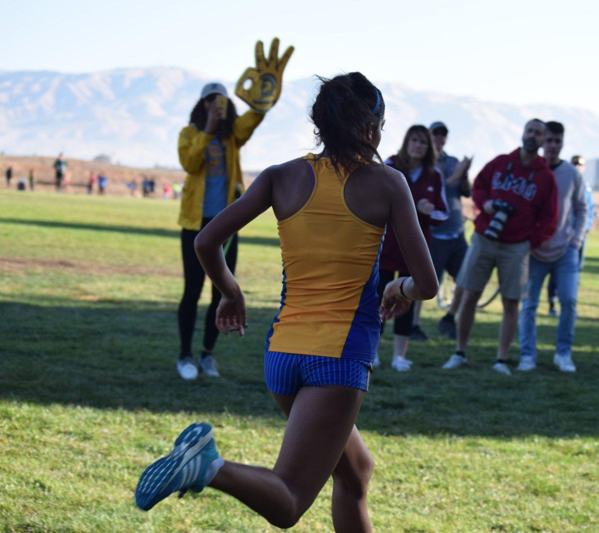 The running dead