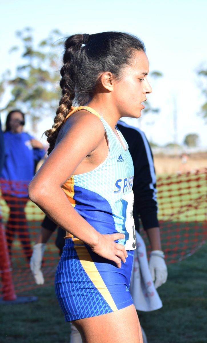 Cross country teams take a 25-mile trip to Stanford