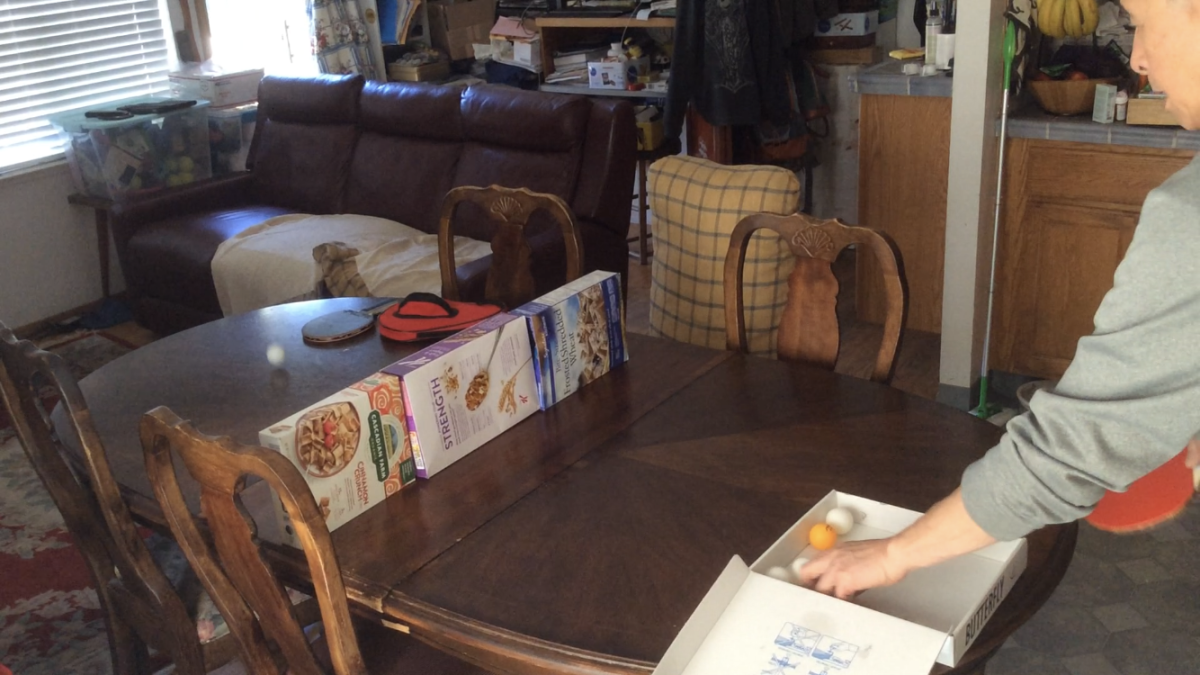 Kinesiology professor Gong Chen uses his dining room table as a makeshift table tennis set up and films himself practicing. He later posts the videos on Canvas so his students can access them and follow along while at home. Screenshot by Jesus Tellitud.