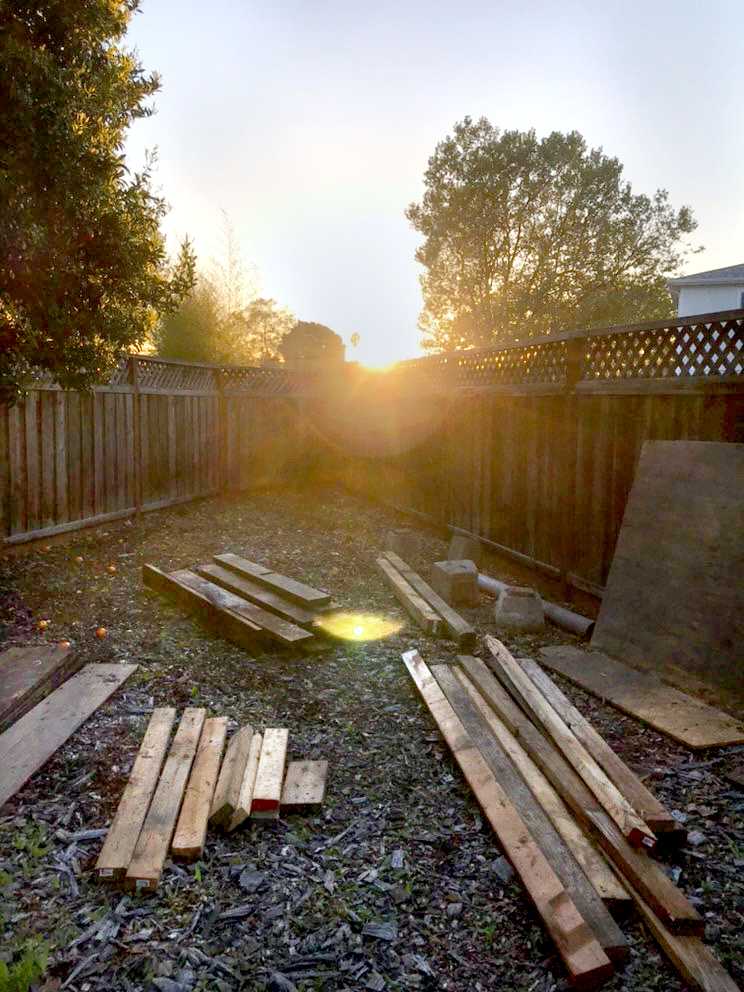 Child development junior Maya Paulo shares a photo of her backyard garden, which is in the early stages of reconstruction. Paulo is the president of the Spartan Veg Club, a group advocating for plant-based living. Photo courtesy of Maya Paulo.