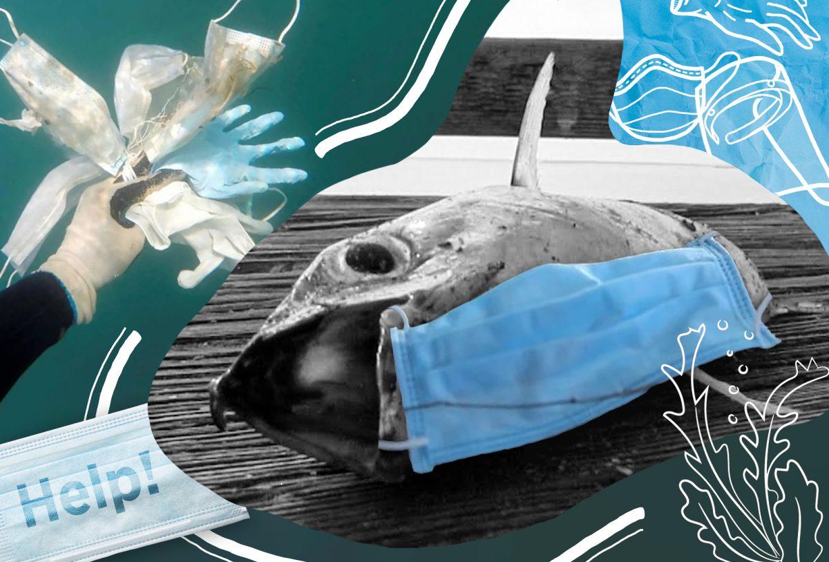 Photo illustration by Blue Nguyen/Spartan Daily
