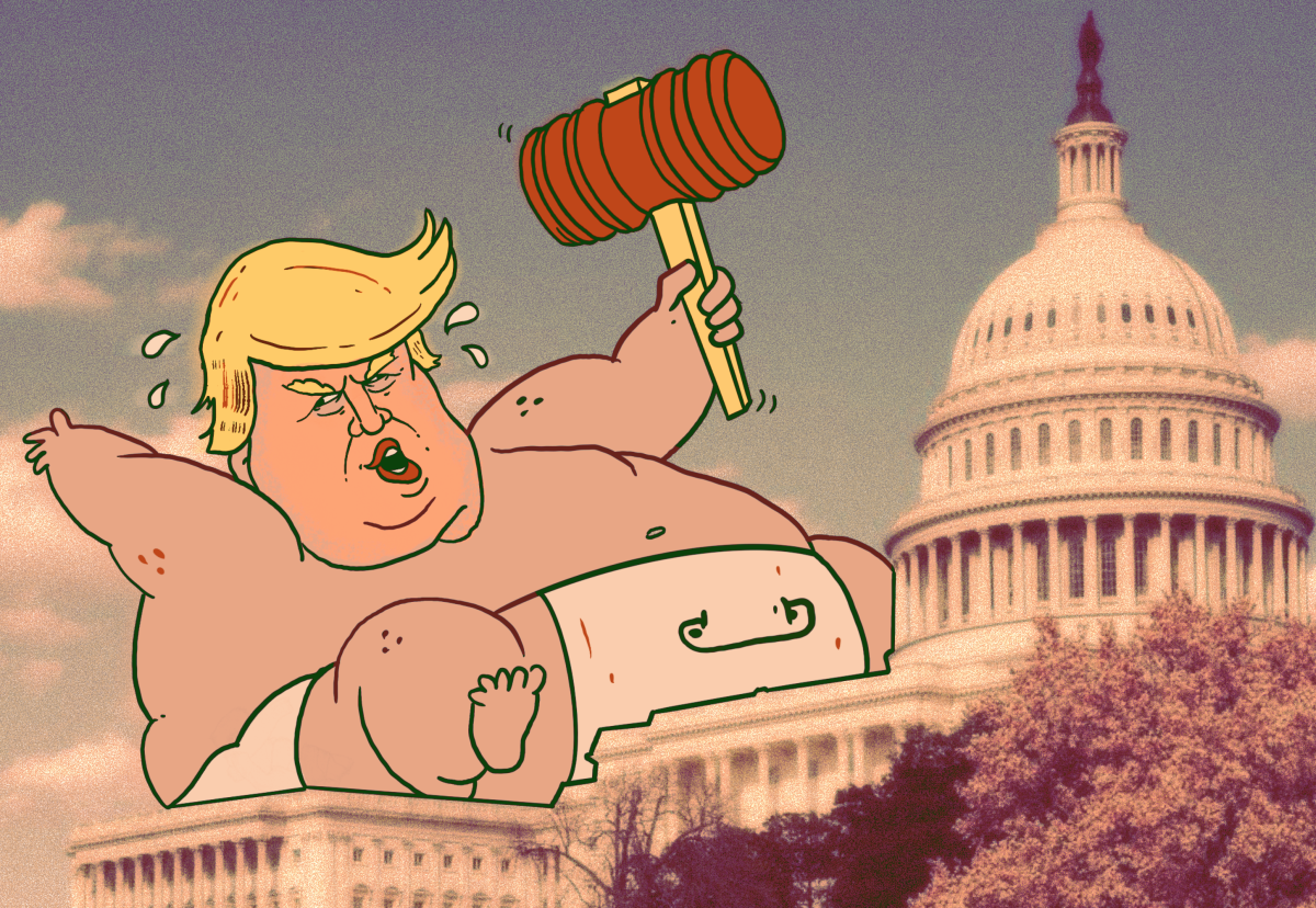 Senate allows Trump tantrum