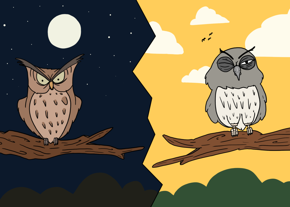 What is the superior sleep schedule? Early birds