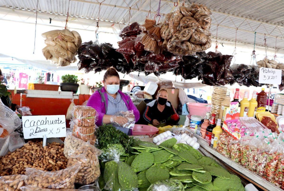Delia, who preferred to go by her first name (left) and her co-vendor bag thornless cacti at the San Jose Flea Market on March 19 I Photo by Jovanna Olivares 