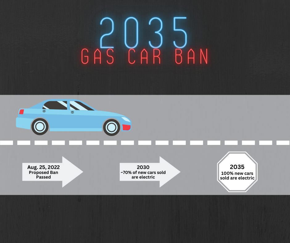 Infographic by Carolyn Brown