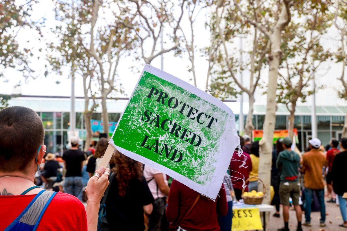 Local activist Jen Myher holds up a sign while standing in front of the Santa Clara County Office Building Saturday afternoon. Nick Zamora | Spartan Daily