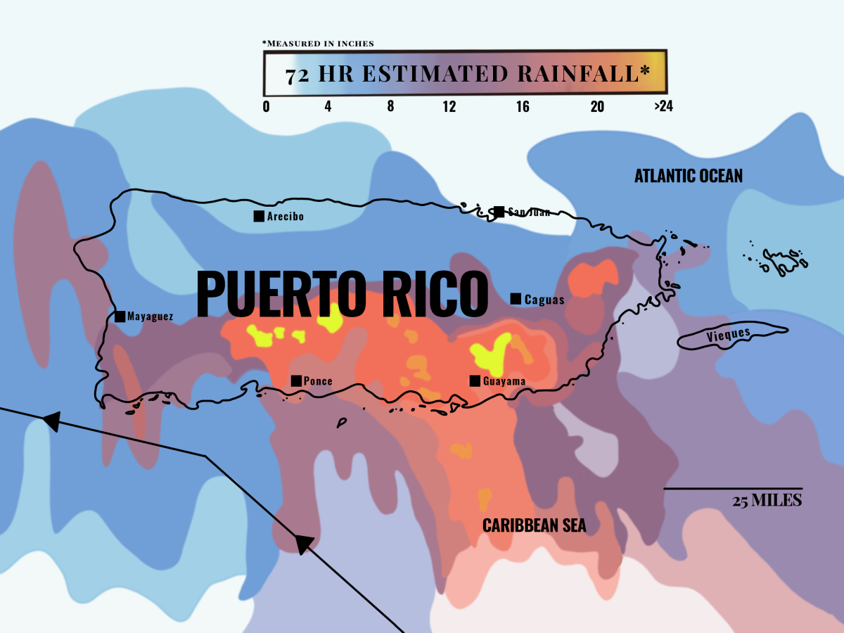 Infographic by Myenn Rahnoma