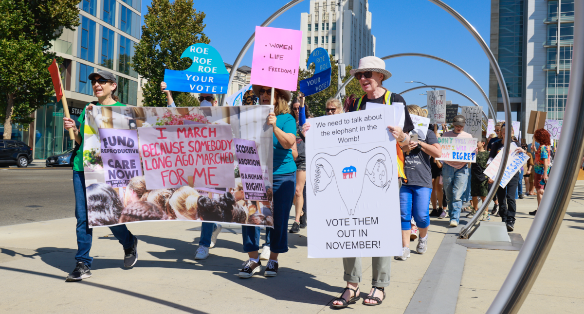Protesters demonstrate on the sidewalks in front of San Jose City Hall, located a block north of San Jose State, on Saturday afternoon. Nick Zamora | Spartan Daily