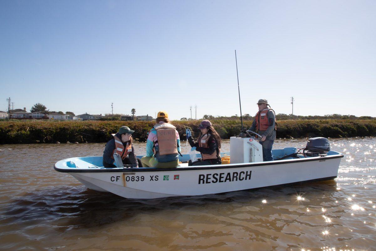 Photo Courtesy of Moss Landing Marine Laboratories 