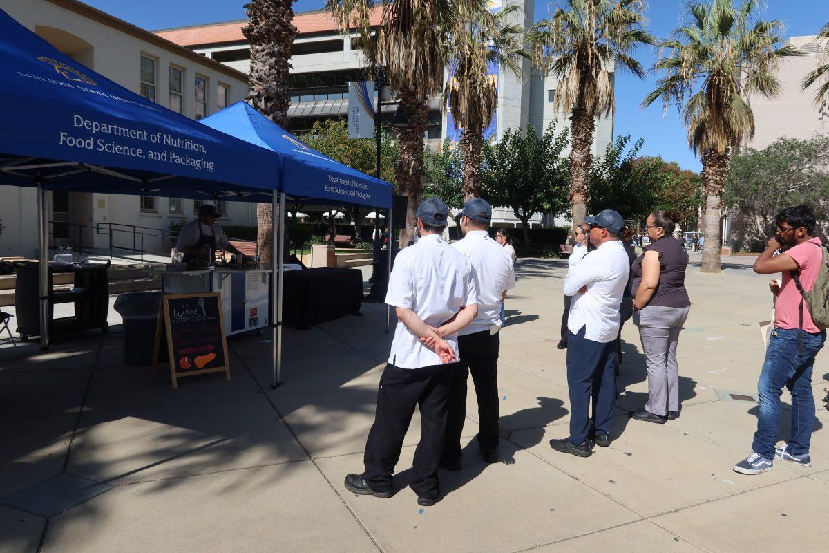 SJSU hosts a sustainability fair