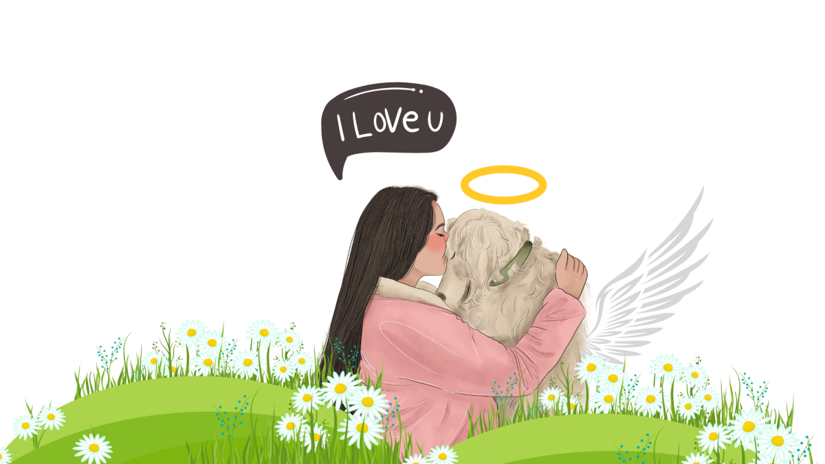 Dogs are more than just pets