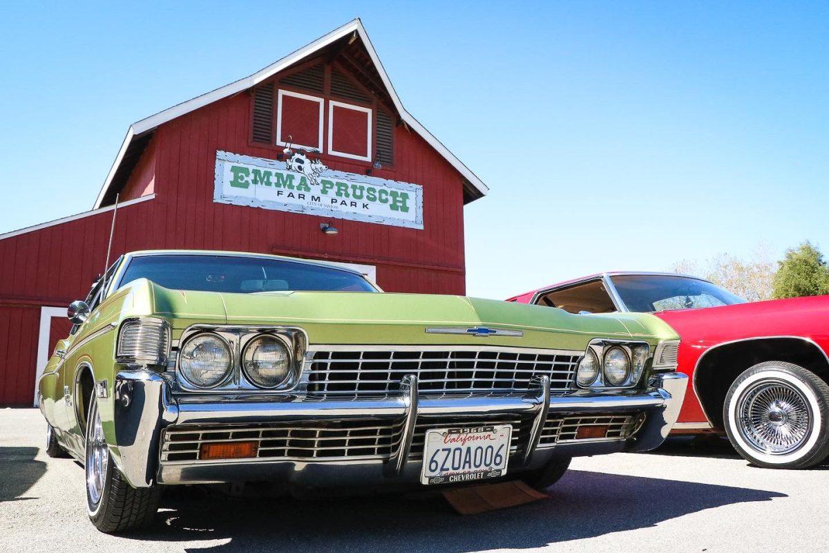Chicano studies dates back decades