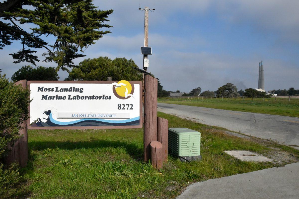 Smoke from the fire at the Vistra Energy battery power plant continues to rise on Jan. 18 in the afternoon at Moss Landing Marine Laboratories Monterey County.