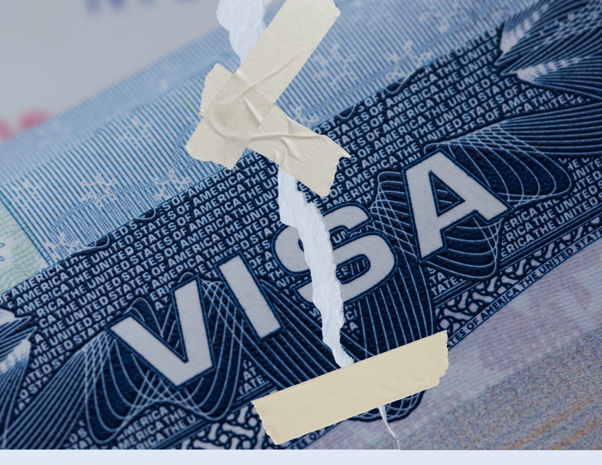 Visas reinstated after mass revocation