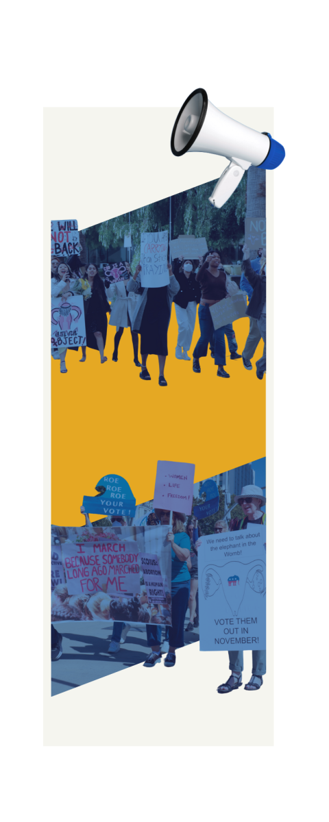 SJ women advocate through the years