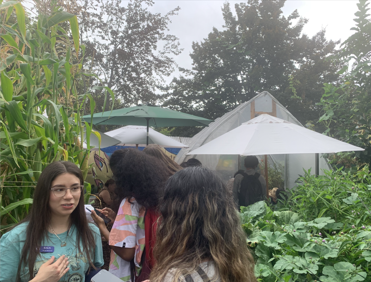 Students talk with each other while at the Campus Community Garden Harvest Festival event on Wednesday.
