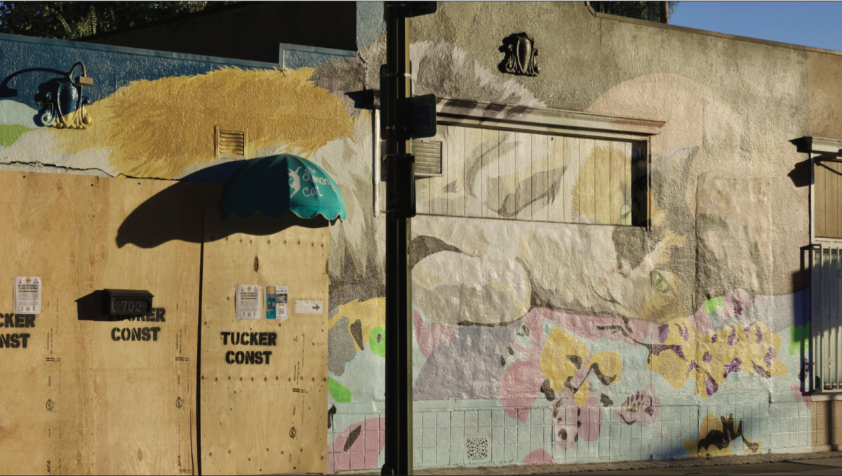The entrance of The Dancing Cat, with a mural by San José artist Roan Victor, now partially damaged and covered by wood panels for construction.
