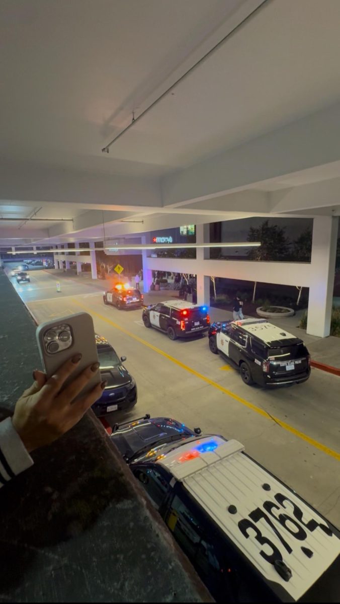 Multiple San José police cruisers spotted outside the entrance of Macy’s at the Westfield Valley Fair mall where the gunshots were fired.