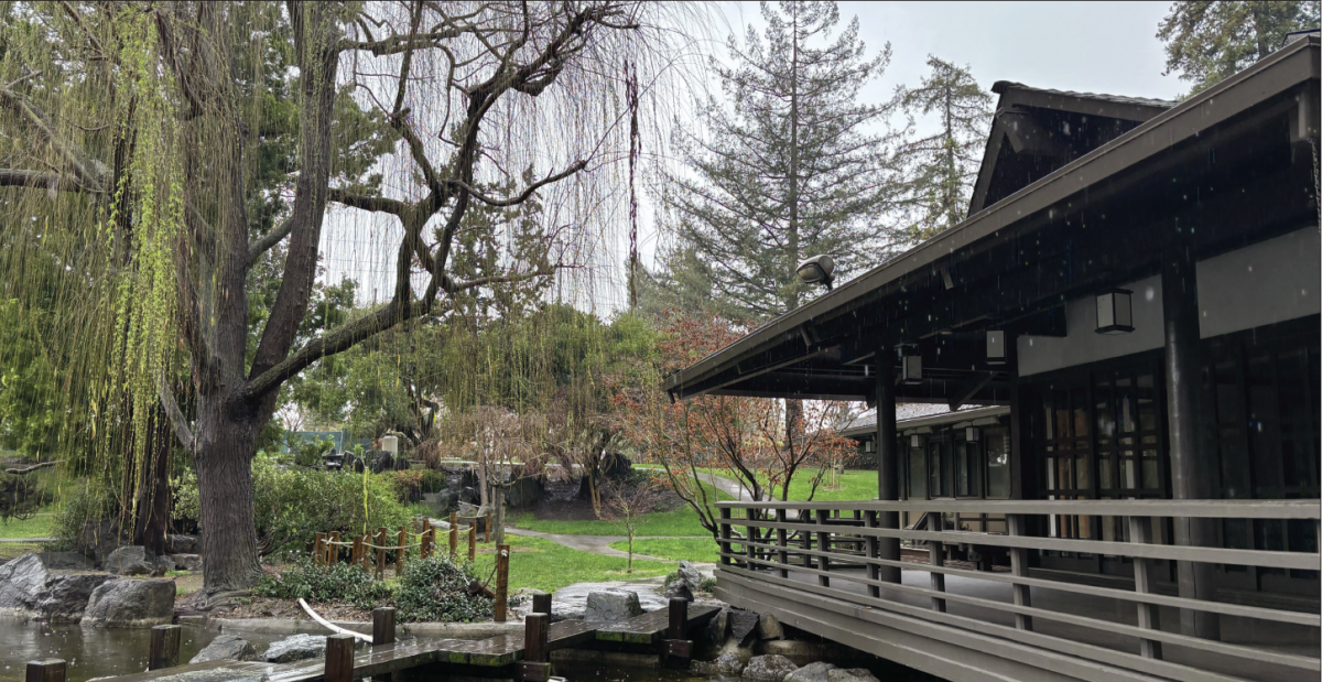 The Tea House stands next to the willow tree located in the inner part of the garden. The Japanese Friendship Garden is waiting for koi fish to be put in the pond.