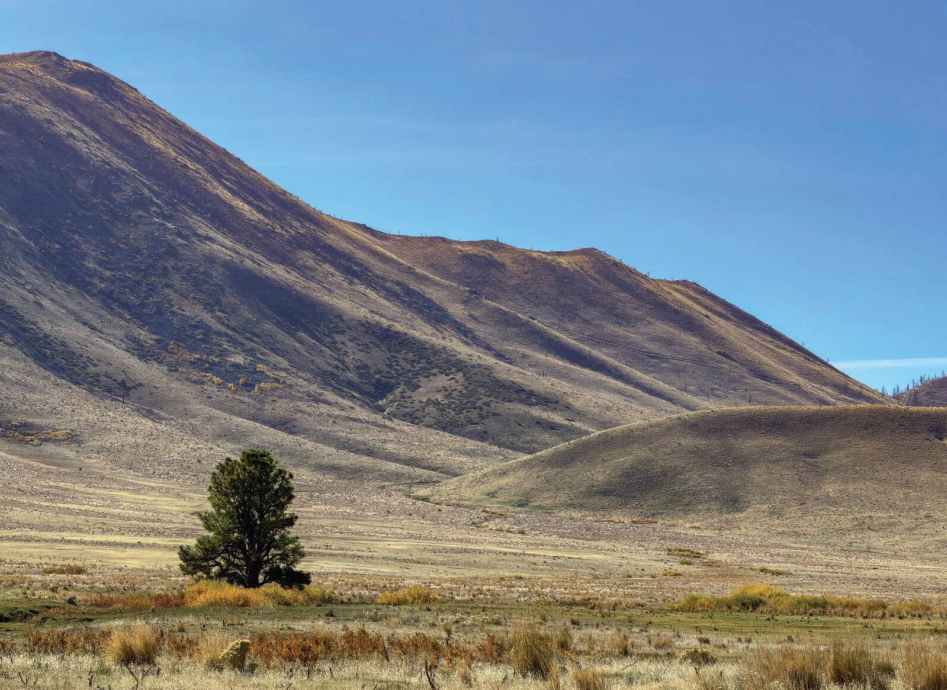 The Washoe tribe bought back its native land, formerly known as Loyalton Ranch, from the city of Santa Clara.
