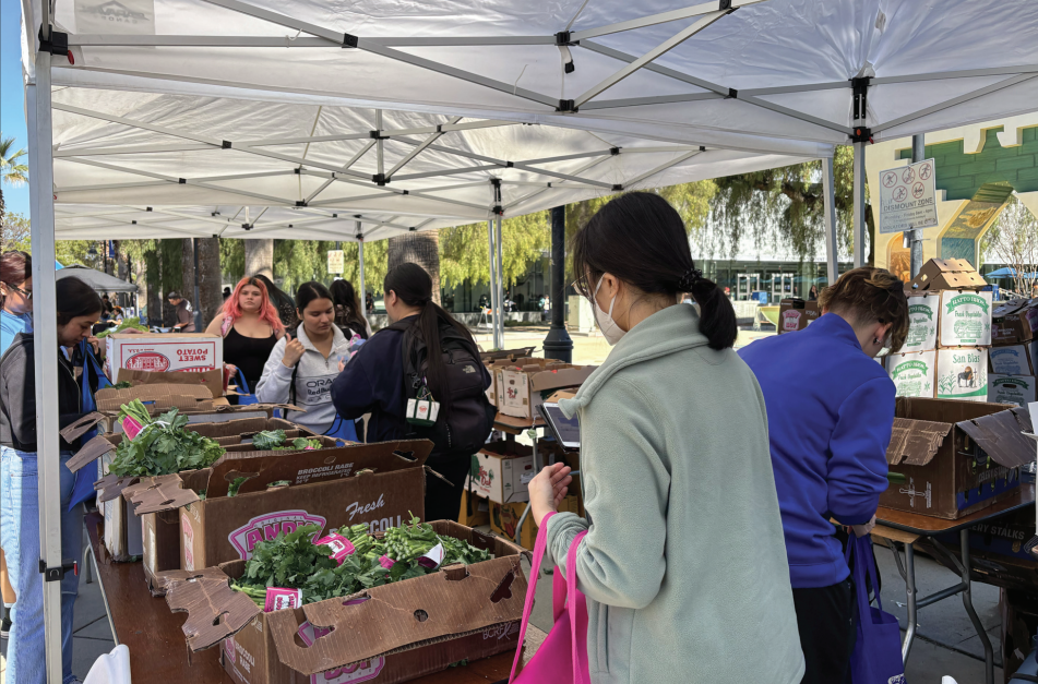 Students browse a variety of produce to pick for their groceries at the 7th St. plaza farmers market.