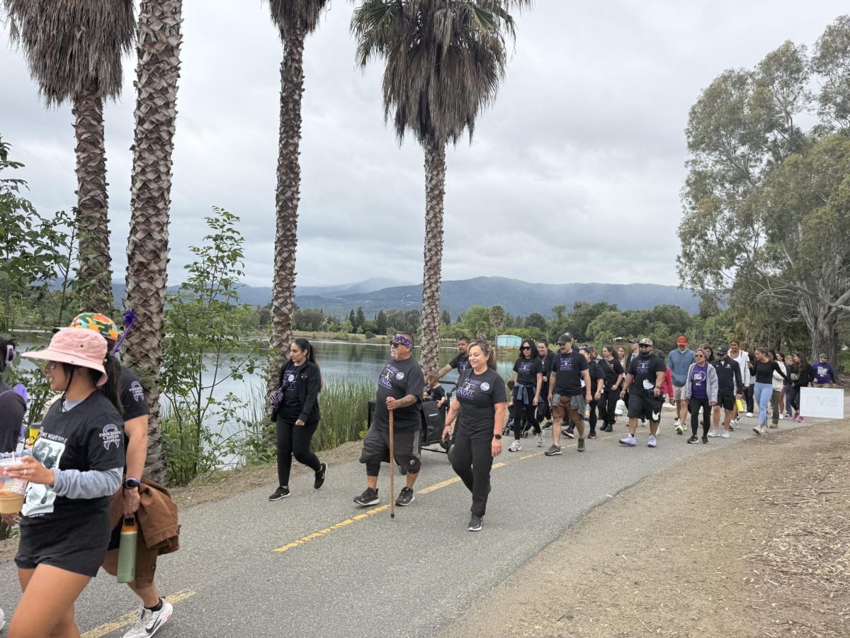 Participants of the PurpleStride Silicon Valley walk to raise awareness against pancreatic cancer on Saturday.