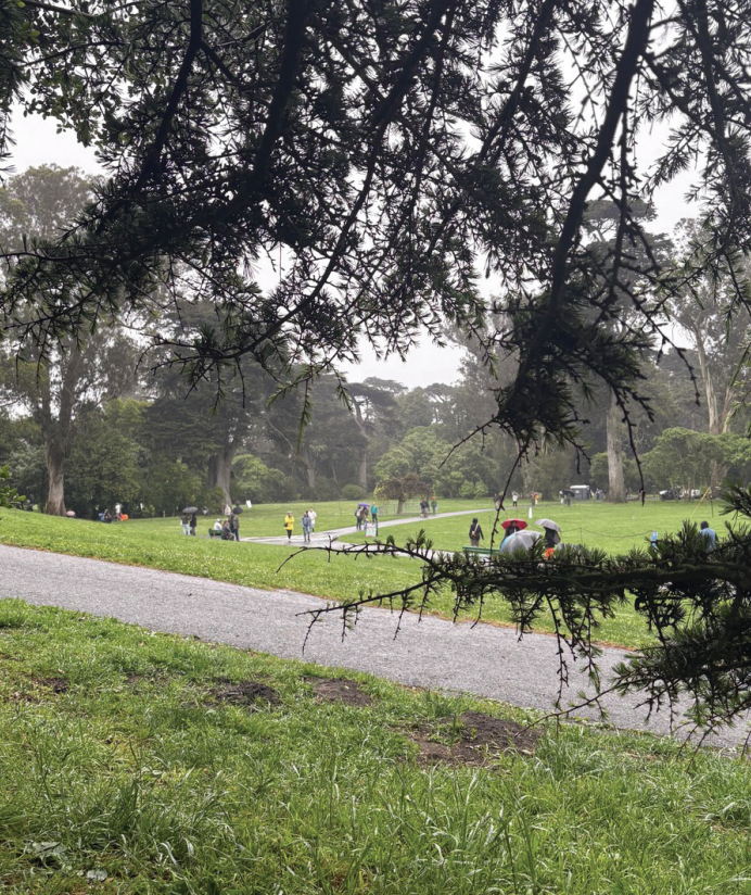 People walk in a rainy Golden Gate Park while others hide beneath trees to smoke.