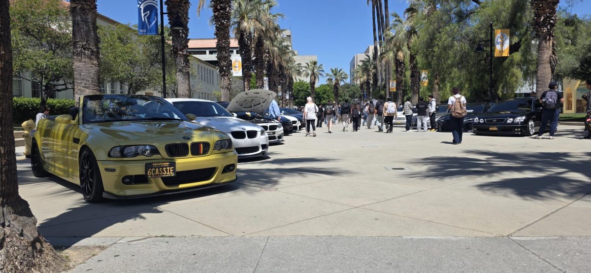 BMWs from the San José State Spartan Automotive Enthusiasts Club’s 4th annual car meet line 7th Street on Thursday.